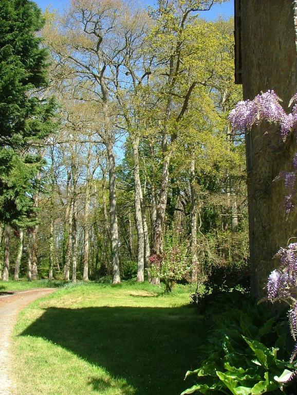 Gites De Launay Guibert Miniac-Morvan المظهر الخارجي الصورة