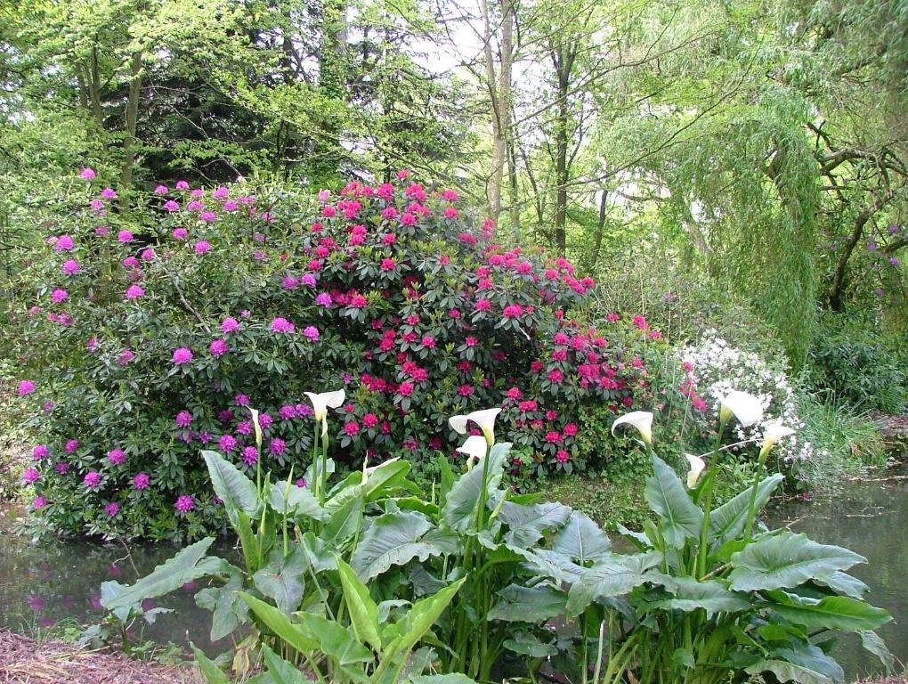 Gites De Launay Guibert Miniac-Morvan المظهر الخارجي الصورة